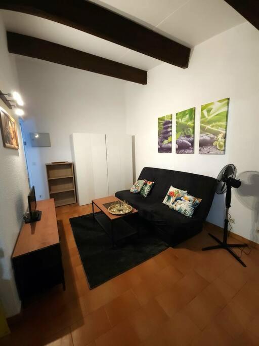 A 8 Mn A Pied Des Plages Appartement Avec Piscine Et Tennis Argelès-sur-Mer Exteriér fotografie
